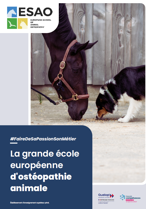 couverture-brochure-esao